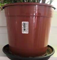 ebertsankey Anzuchttopf 18 cm Farbe: terrakotta