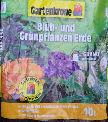 Blüh- und Grünpflanzen Erde