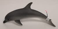 Delfin