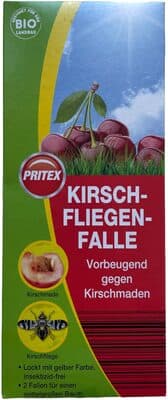 Kirschfliegen-Falle