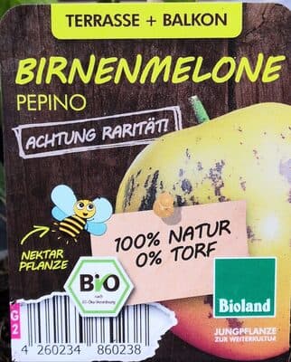 Birnenmelone