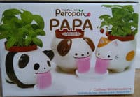 Papa garden