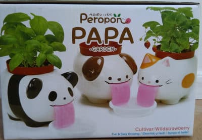 Papa garden