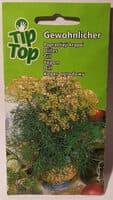 Gewohnlicher Dill