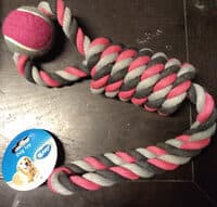 Dog Toy