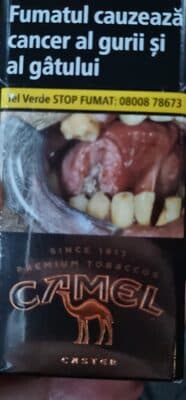 Camel Caster