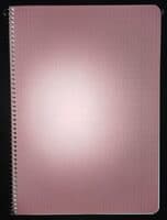 Subject 72 sheets 5x5 rulex