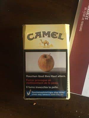 Camel