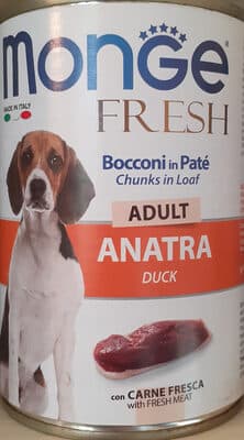 Fresh adult anatra