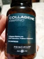 principium
