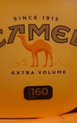Camel