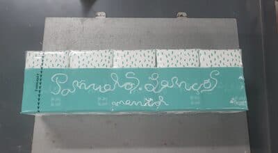 Pañuelos de papel Mentol