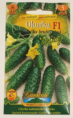 Okurka nakládačka hruboostná Fantasy