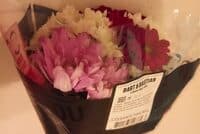 Chrysant Kalt Mix