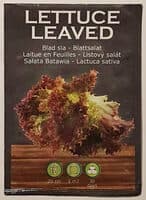 Laitue en Feuilles - Lactuca Sativa