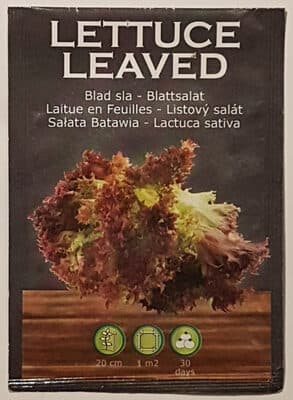 Laitue en Feuilles - Lactuca Sativa