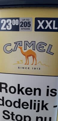 Camel