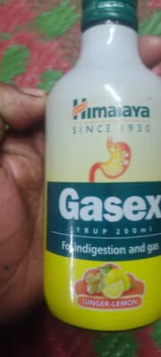 Himalaya Gasex Ginger-Lemon