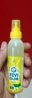 Pidilite Fevi Gum