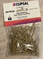 Self Drilling Pan Head Screws (6 gauge x 30mm)