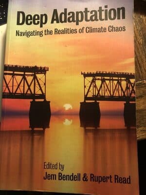 Deep Adaptation text book