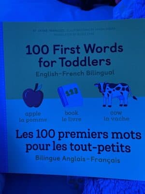 100 First words for toddlers English to French
