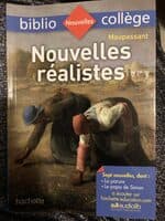 Nouvelle réalistes