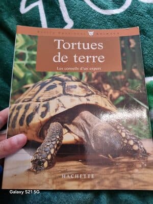 Tortues de terre les conseils d'un expert