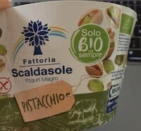 Yogurt magro