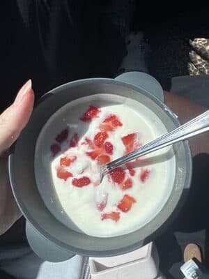 Fat Free Greek Style Natural Yogurt