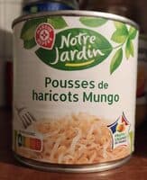 Pousses de soja haricots mungo