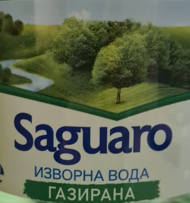 Газирана изворна вода