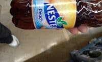nestea
