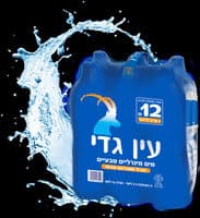 מים מינרליים