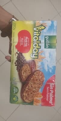 Vitalday Sandwich de Avena con Chocolate