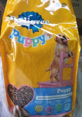 puppy