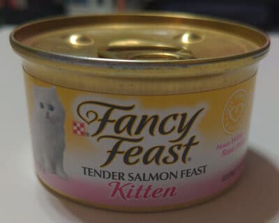 Fancy Feast Kitten Tender Salmon Feast
