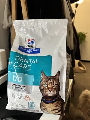 Hills Prescription Diet Dental Care Dry Cat Food