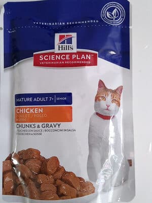 Chunks & Gravy POULET