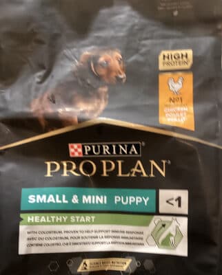 Small & Mini Puppy