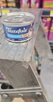 cat food