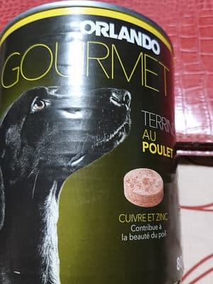 Terrine au poulet