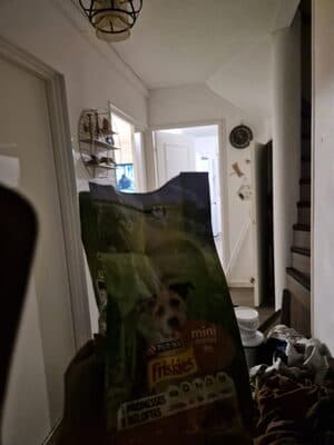 friskies