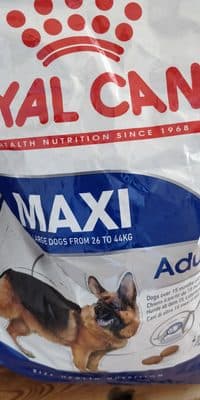 Royal Canin Maxi Adult