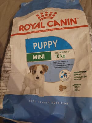puppy mini