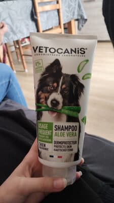 shampooing chien