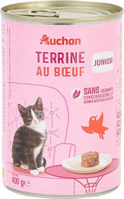 Terrine au boeuf