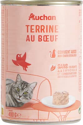Terrine au boeuf