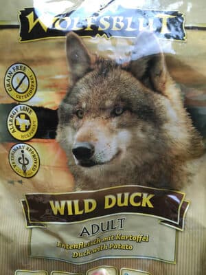 Wild Duck Adult
