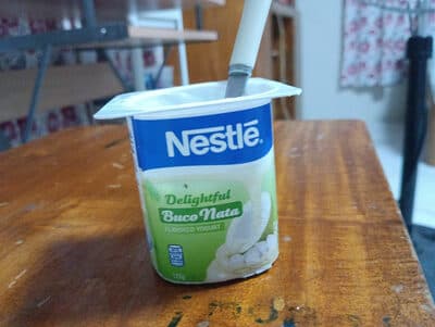 Nestle Delightful Buco Nata Flavored Yogurt